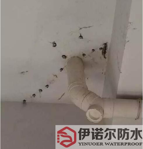 姑蘇蘇州防水工程的基本內(nèi)容是什么？